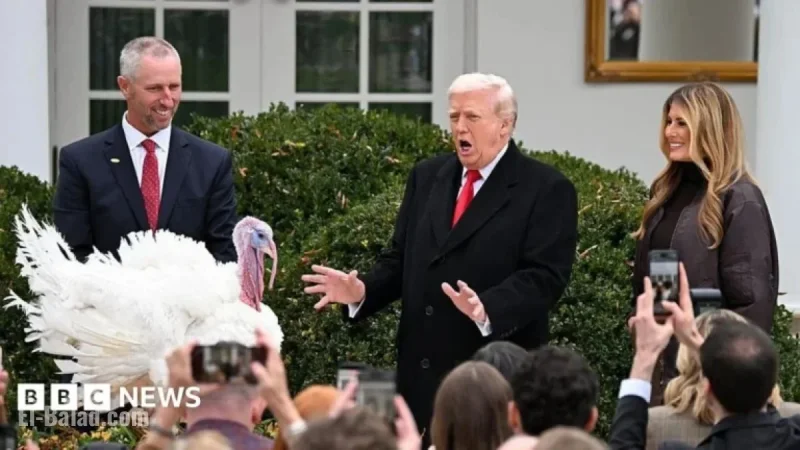 Trump Pardons Turkeys Gobble and Waddle Before Thanksgiving