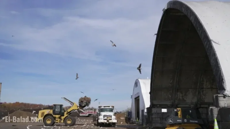 U.S. Tackles Food Waste Challenge with Innovative Solution