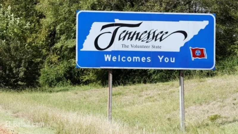Van Epps and Behn Neck-and-Neck in Tennessee’s 7th District Election Poll