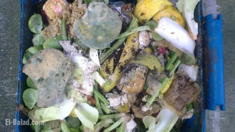 Councillor Raises Concerns Over Bin Snooping Practices