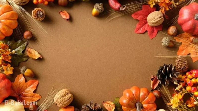 Thanksgiving Sees Surge in Digital Sales as AI Agents Work (XRT:NYSEARCA)