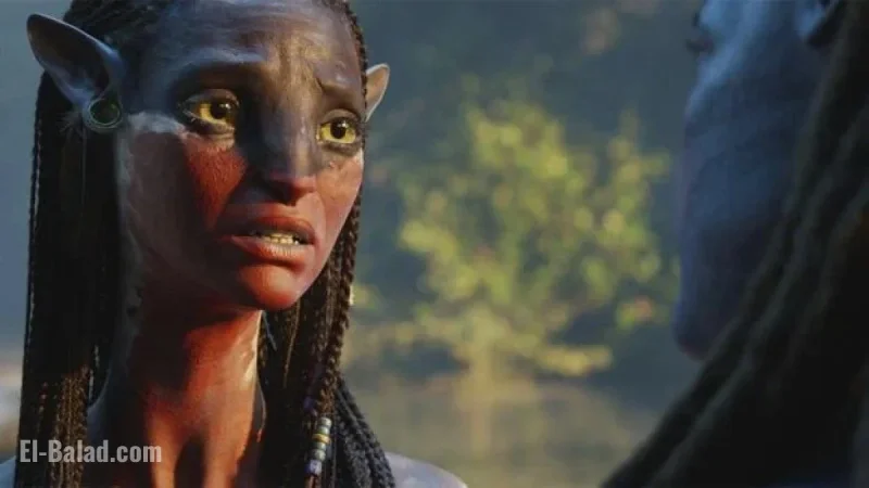 Top 12 Must-Watch Films for December