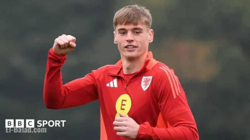 Buying a Ticket Leads to Playing for Wales