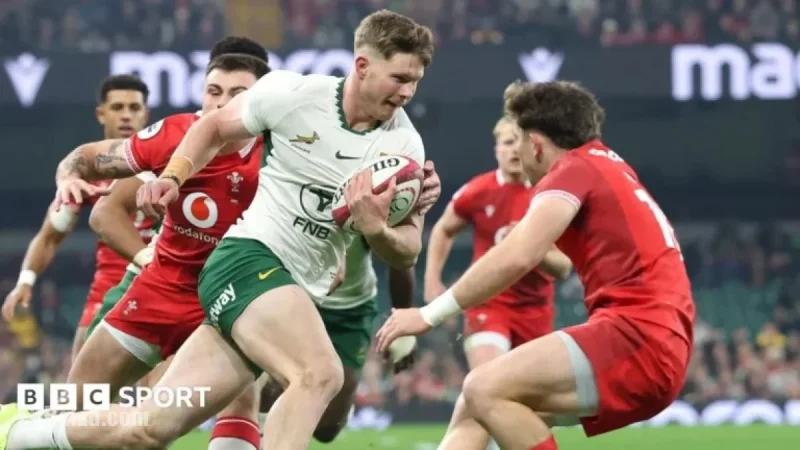 Wales vs South Africa: Live Rugby Autumn Internationals Updates and Scores