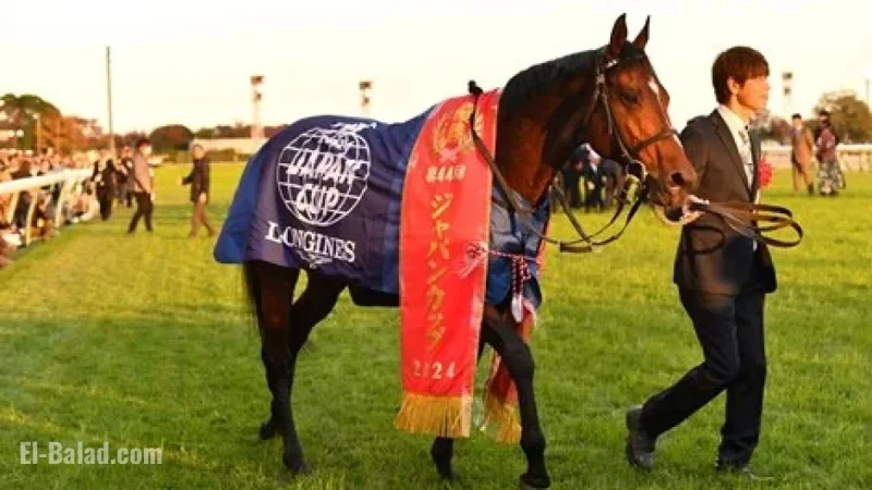 2025 Japan Cup: Viewing Guide and Key Details