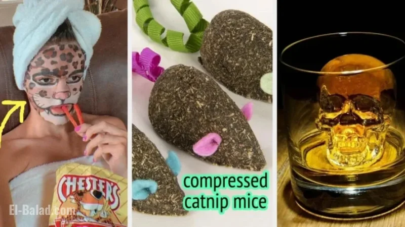 58 Perfect Stocking Stuffers for Everyone, Including Pets