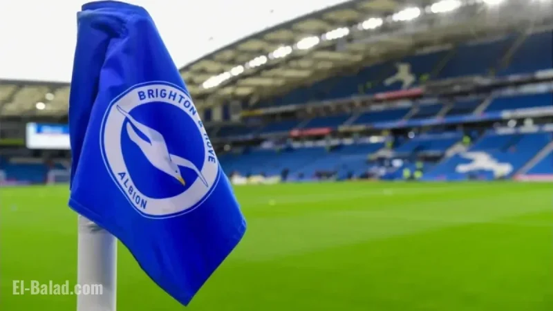 Brighton Star Urged to Boost Man Utd with Surprise January Transfer