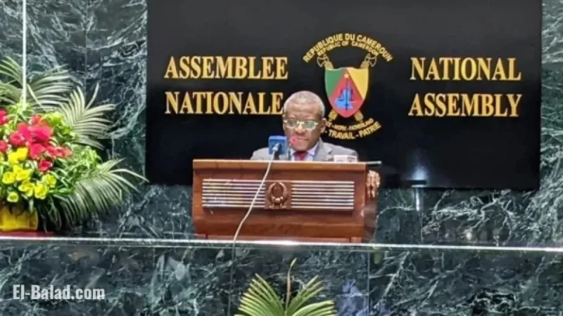 Cameroon Enhances Infrastructure with 2026 Budget Plan