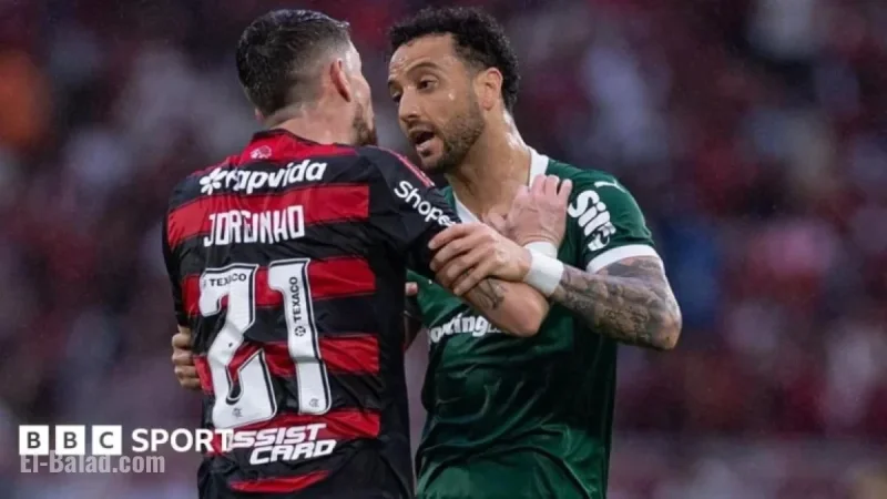 Flamengo vs Palmeiras: South America’s Biggest Football Rivalry