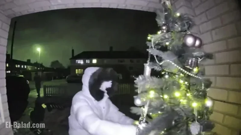 Hooded Thief Steals Christmas Tree from Mother’s Doorstep