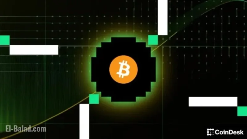 MicroStrategy CEO Asserts Unmatched Flexibility to Continue Bitcoin Purchases