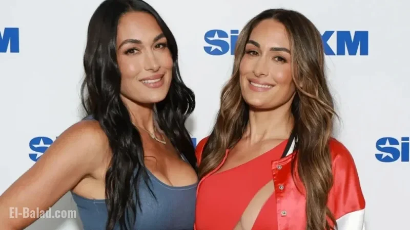 Nikki Bella Hints at Brie Bella’s WWE Comeback