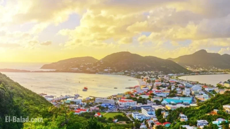 Search Intensifies for Missing Cruise Passenger After Contact Made