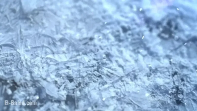 Snow Accumulations Prompt First Alert Weather Day on Tuesday