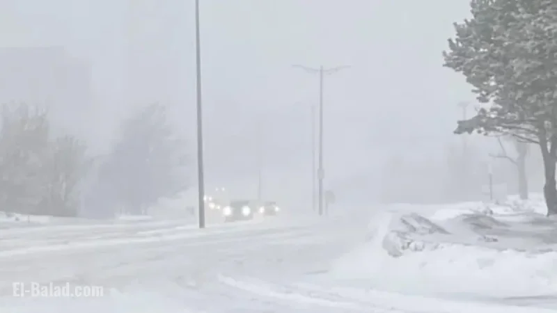Blizzard to Hit Most of the Island on Wednesday