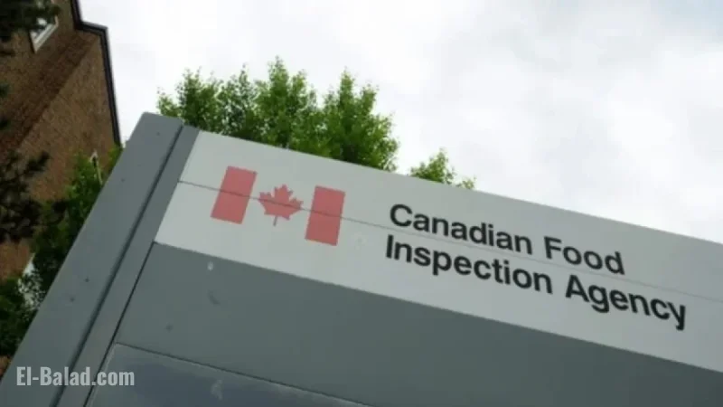 CFIA Investigates Avian Flu Outbreak in TNRD