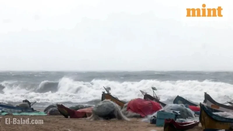 Cyclone Ditwah Closes Chennai Schools; IMD Issues Orange Alert for Tamil Nadu