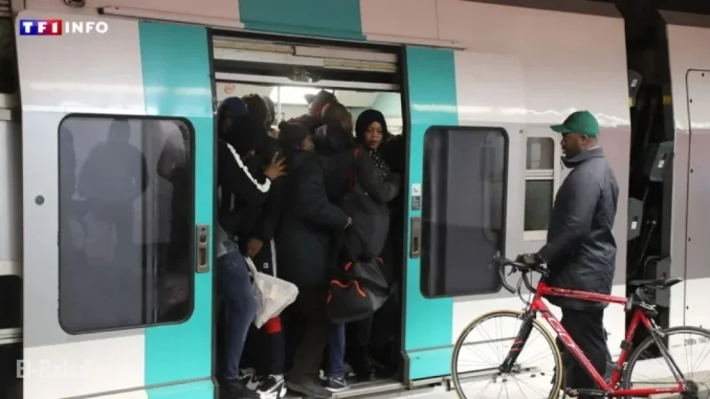 December 2 Strike: Anticipated School and Transport Disruptions