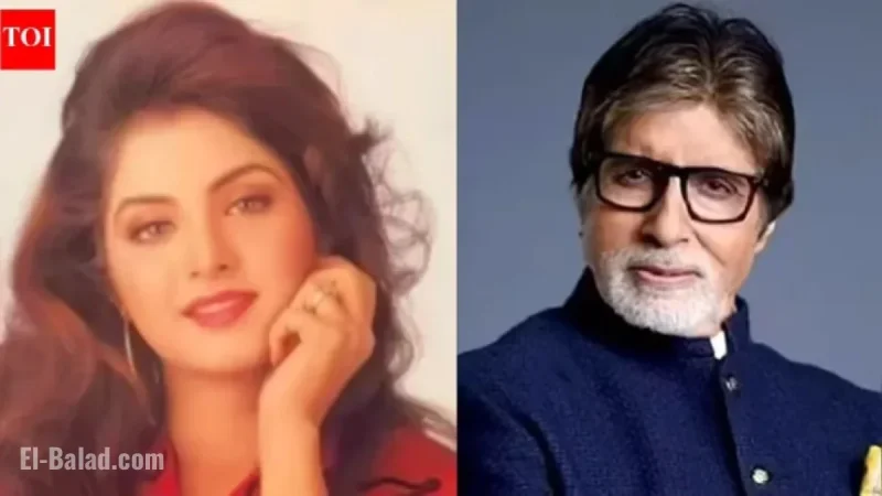 Divya Bharti’s Mom Urged Her Not to Wash Hands After Meeting Amitabh Bachchan