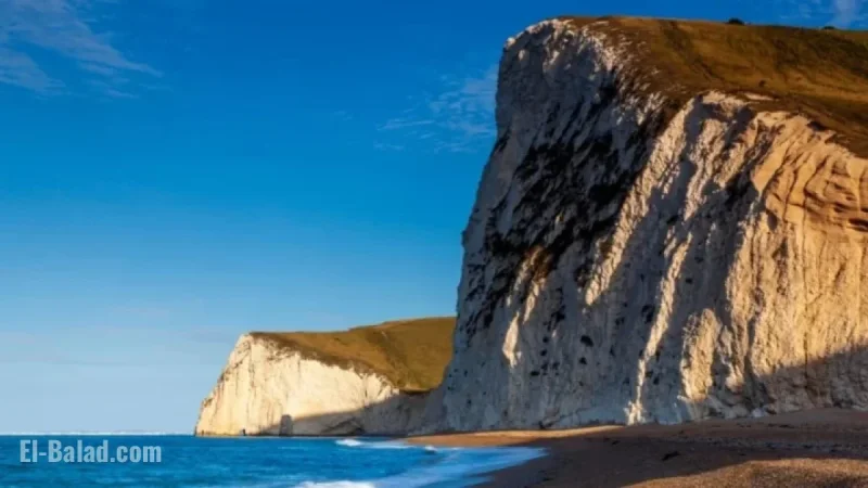 Dorset Council Transitions from SAP to Oracle in £14.2M Upgrade