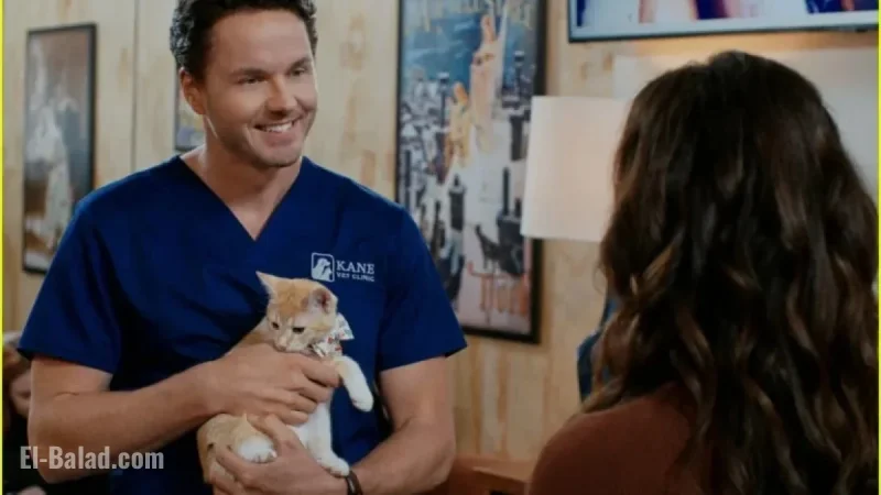 Erin Cahill & Paul Campbell Connect with 15 Cats on ‘Christmas at the Catnip Café’
