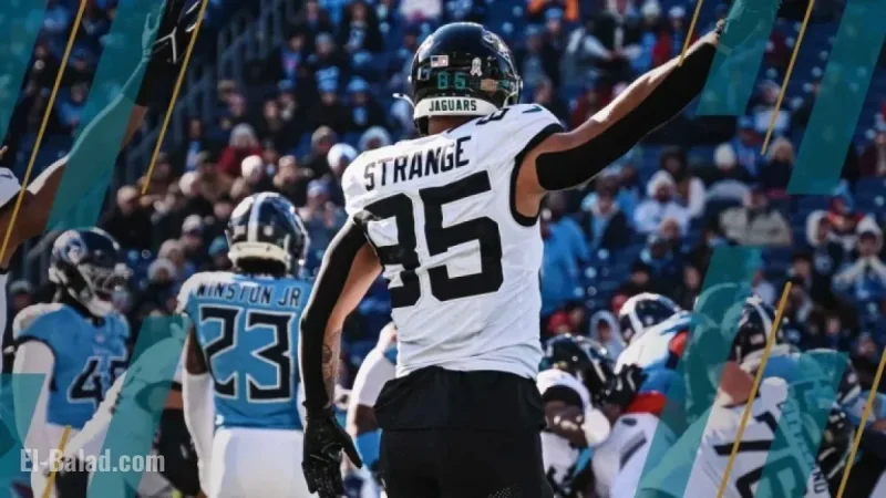 Top Waiver Wire Picks for NFL Fantasy Football Week 14