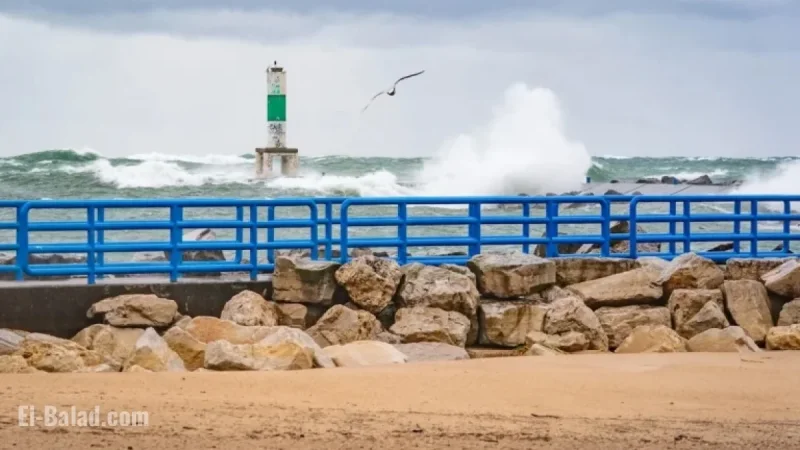 Winter Storm Alert: Up to 10 Inches of Snow in 3 Michigan Counties