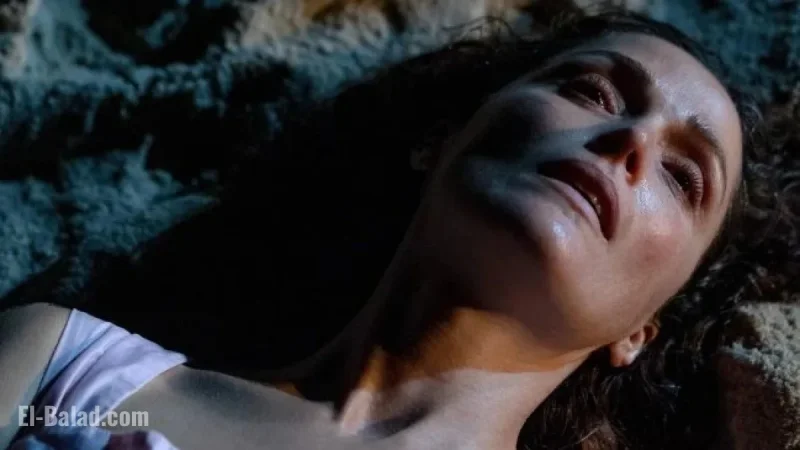 2025 New York Film Critics Circle Awards: Complete Winners List