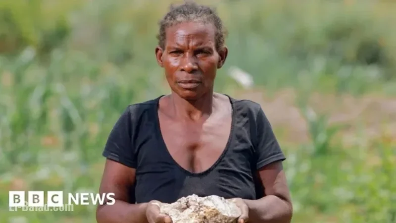 Africa Faces Challenge in Tackling Devastating Toxic Spill Tied to China
