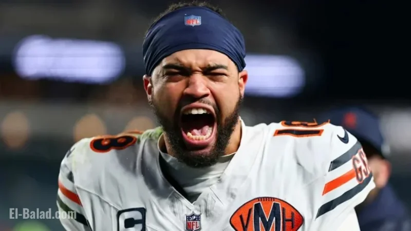 Bears Climb Higher as Lions Drop from Top 10 Rankings