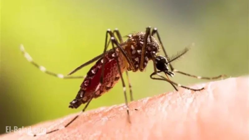 Cuba Travel Alert: Beware of Viruses Threatening Your Vacation