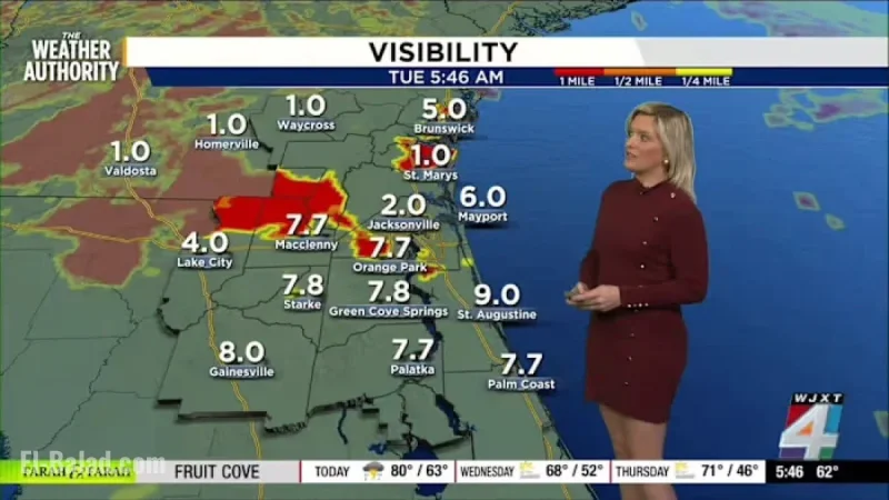 Jacksonville Braces for Dense Fog and Stormy Weather: Weekly Forecast Insights