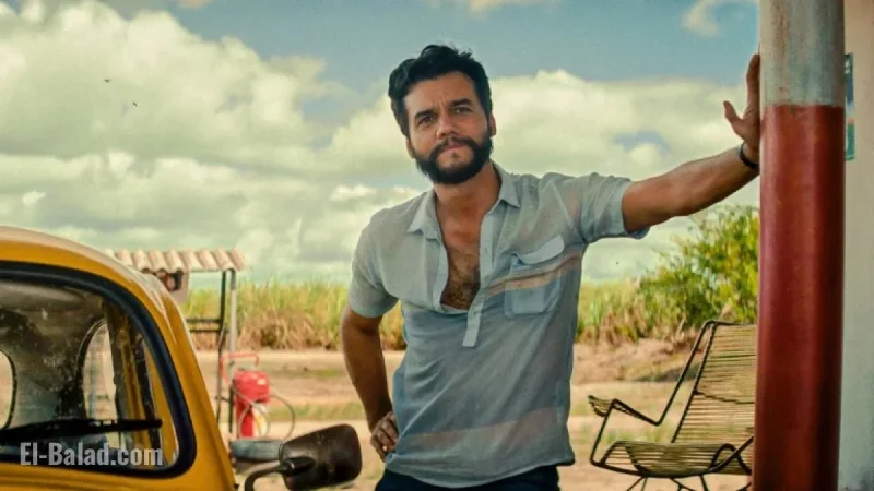 Live Updates: 2025 New York Film Critics Circle Winners Announced