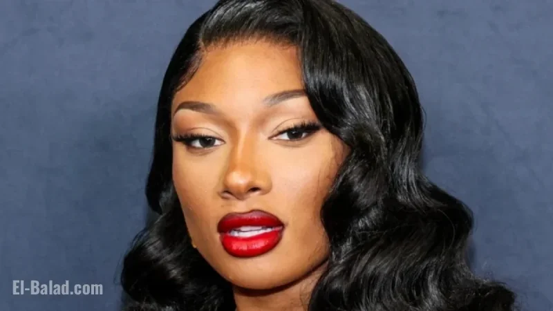 Megan Thee Stallion Triumphs in Defamation Case Against Blogger