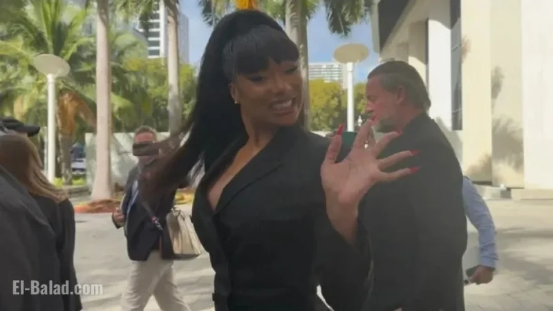 Megan Thee Stallion Wins $75K in Defamation Case Jury Verdict