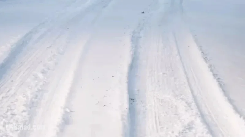 Winter Weather Alerts Issued for 15 Michigan Counties: 3-12 Inches Expected