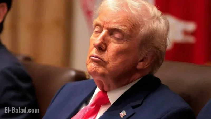 Donald Trump, 79, Spotted Nodding Off During Cabinet Meeting