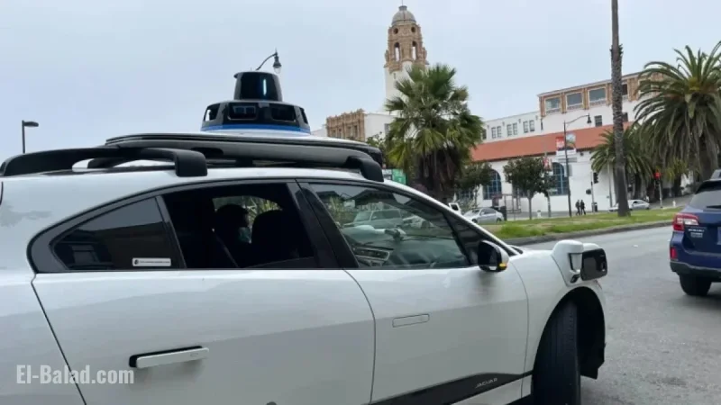 Waymo Vehicle Strikes Dog in San Francisco After Earlier Cat Incident