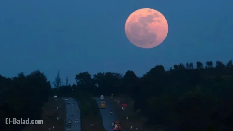 December Supermoon Reaches Peak This Week: Key Details
