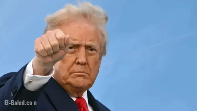 Donald Trump Discusses ‘Playing Cards’ for Ukraine Peace: Our Analysis