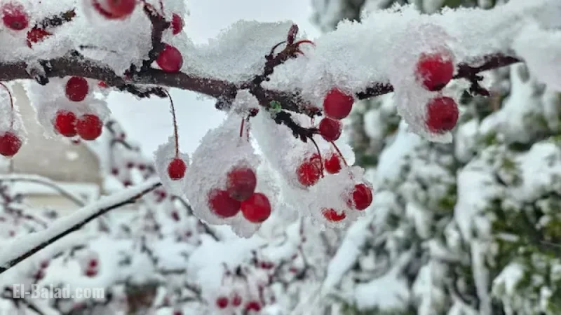 Frigid Winter Weather Approaches the Maritimes