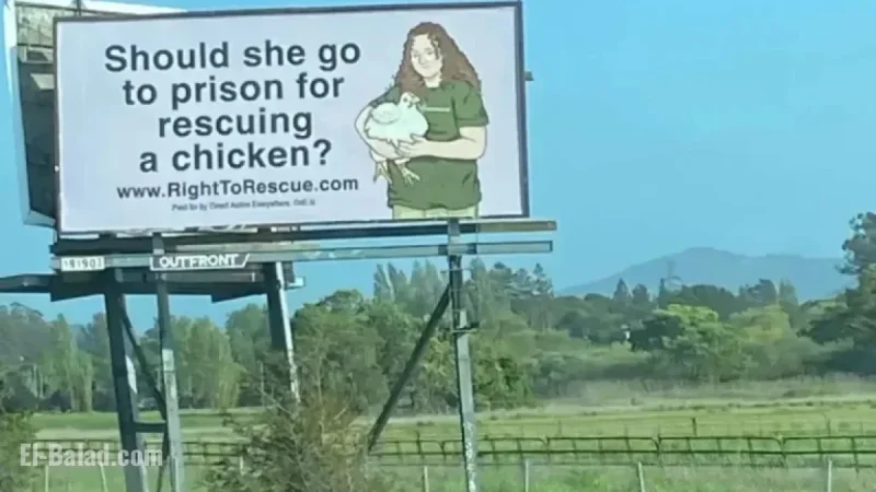 Prosecutors Push for 180-Day Sentence for Activist Zoe Rosenberg in Poultry Case