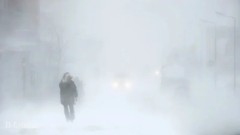 Snowfall Alert: Region to Receive 20-40 cm from Squalls
