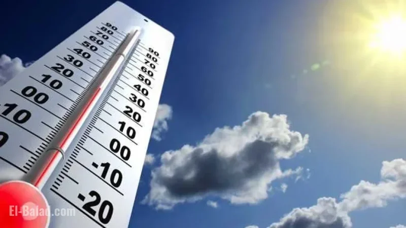 Egypt Alerts on Temperature Plunge, Fog, and Rainfall Conditions