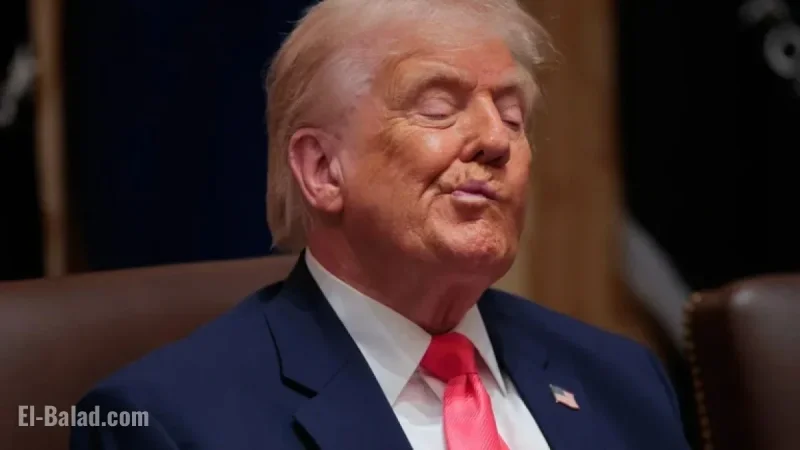 Trump’s Pardon Practices Legalize Corruption, Experts Warn