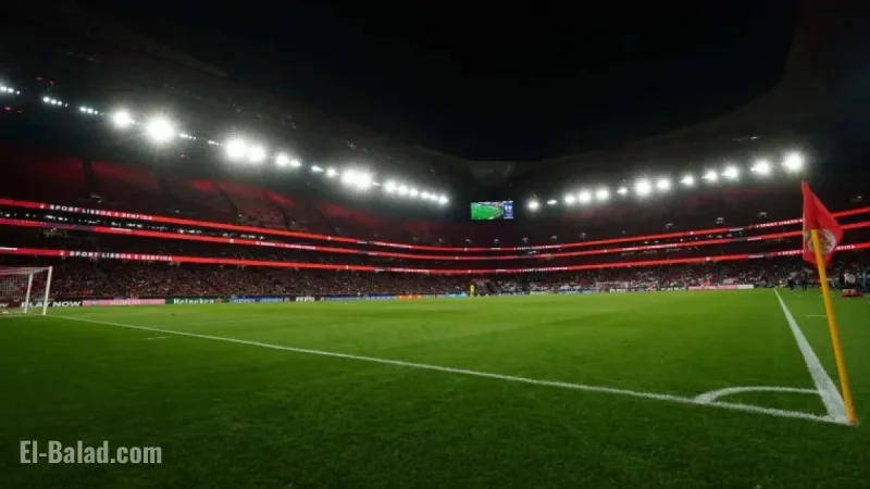 Watch Benfica vs Sporting Live Online: Streaming Link (12/05)