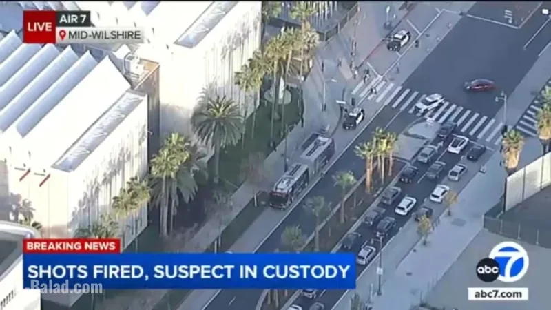 Woman Arrested for Allegedly Firing Gun Outside LA County Museum of Art