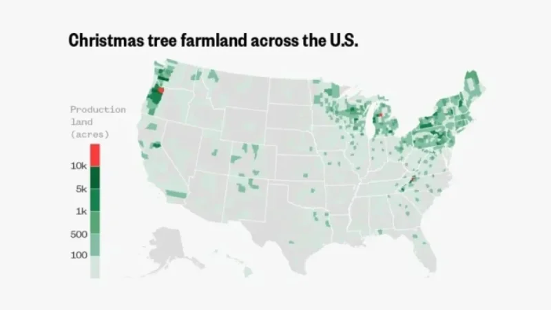 Discover Top U.S. Regions for Christmas Tree Cultivation