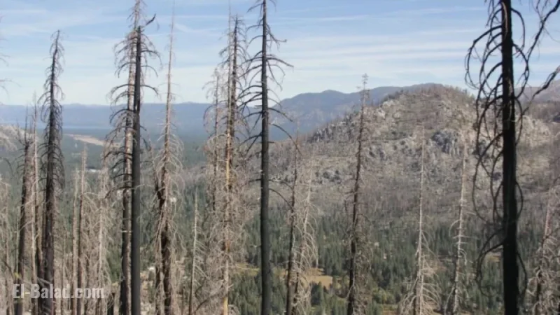 Forest Service Invites Input on Caldor Fire Restoration Plans