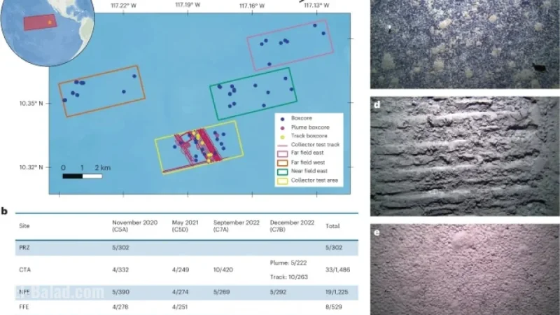 Industrial Deep-Sea Mining Trial Affects Macrofaunal Biodiversity